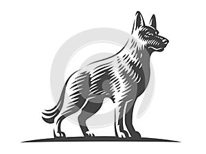 Shepherd dog, vector illustration