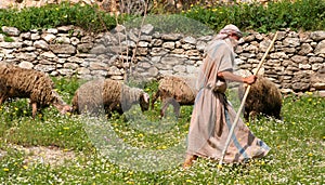 Shepherd and Flock