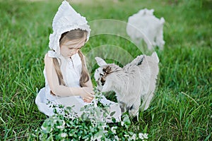 A shepherd girl in a white dress and bonnet feeds a goat with cabbage leaves