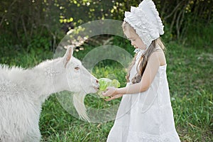 A shepherd girl in a white dress and bonnet feeds a goat with cabbage leaves