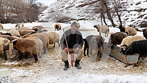 Shepherd grazing his sheep, Bitlis, Turkey