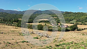 Shepherd grazing sheep on a mountain hill among picturesque nature