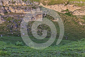 A shepherd and a herd of sheep in the mountains