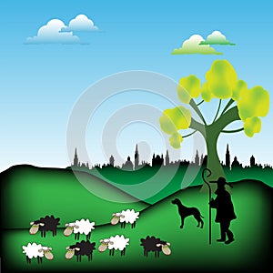 Shepherd with his flock