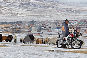 A shepherd and his herd of sheep in the hills over the city