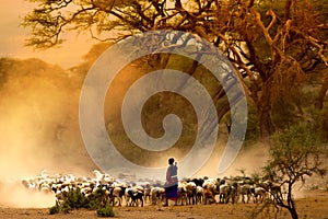 Shepherd leading a flock of goats