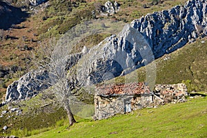 Shepherd's hut at La Valencia, near Felechosa village, Aller municpality, Asturias, Spain