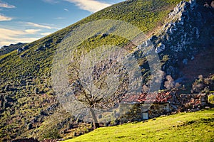 Shepherd's hut at La Valencia, near Felechosa village, Aller municpality, Asturias, Spain