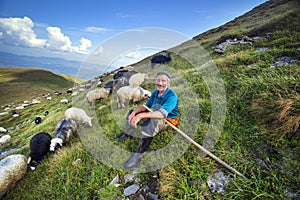 Shepherd of sheep with a staff in the mountains