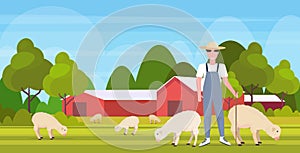 Shepherd with stick herding flock of white sheep smiling male farmer breeding sheep eco farming concept farmland