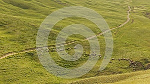 A shepherd tending a flock of sheep in the mountains of Gobustan(Azerbaijan)