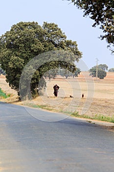 Shepherd along the Estrada de Aldeia Nova in the south of Portugal photo