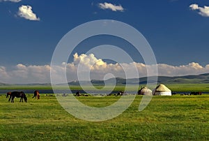 Shepherds tent Yurt with horses, Kyrgyzstan, Song Kol lake mount