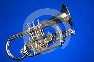 Sheppardsâ€™s Crook Cornet On Blue