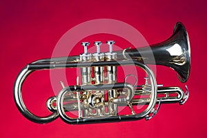 Sheppardsâ€™s Crook Cornet On Red