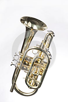 Sheppardsâ€™s Crook Cornet On White