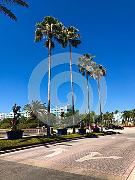 Sheraton Vistana Villages, Orlando, Florida