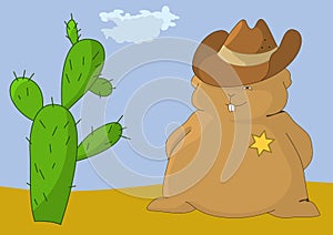 Sheriff-pillow with cactus
