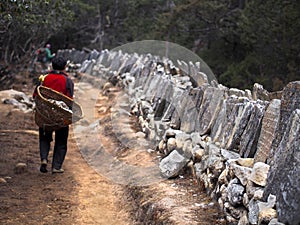 Sherpa Porter Walking on Trail Next to Tibetan Mani Stones