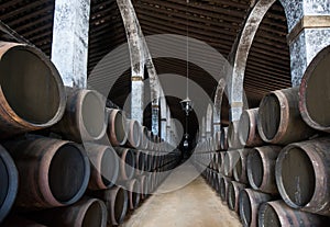 Sherry barrels in Jerez bodega, Spain photo