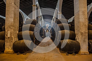 Sherry barrels in Jerez bodega, Spain photo