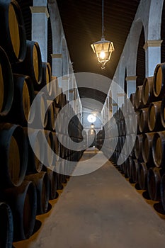 Sherry barrels in Jerez bodega, Spain photo