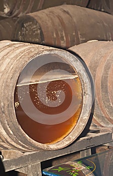 Sherry fermenting throgh a glass end front of an oak barrel