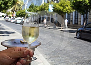 Sherry wine tasting, dry fino, manzanilla or palomino jerez fortified wine in glasses, Jerez de la Frontera, Andalusia, Spain photo