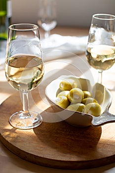 Sherry wine tasting, dry fino, manzanilla or palomino jerez fortified wine in glasses, Jerez de la Frontera, Andalusia, Spain photo