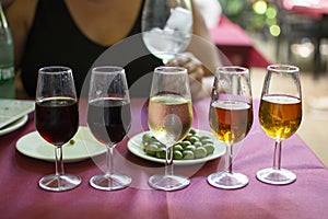Sherry wine tasting, selection of different jerez fortified wines from dry to very sweet, Jerez de la Frontera, Andalusia, Spain photo