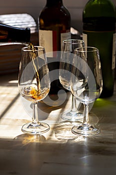 Sherry wine tasting, selection of different jerez fortified wines from dry to very sweet in glasses, Jerez de la Frontera, photo