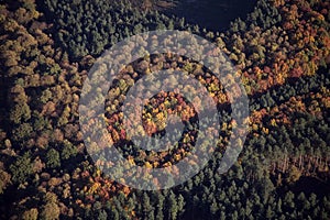 Sherwood Forest aerial