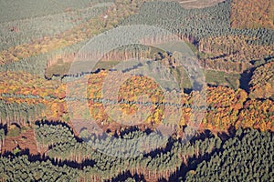 Sherwood Forest aerial