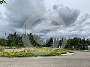 Sherwood  yellow color flowers park