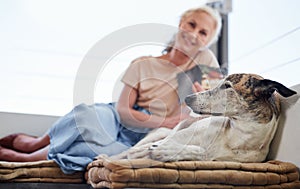 Shes got a companion for life. Cropped portrait of an attractive senior woman reading a book while relaxing on the