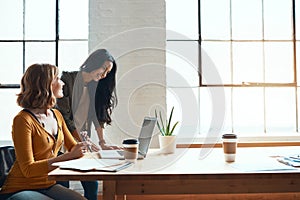 Shes happy to help. two young businesswomen working on a laptop together in their modern office.