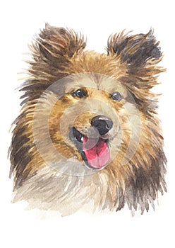 Water colour painting, Shepherd dog breed 038 photo