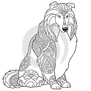 Shetland sheepdog sheltie dog coloring page