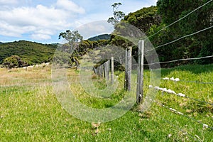 Shheps wool wound around fence wire on long fence leading through field