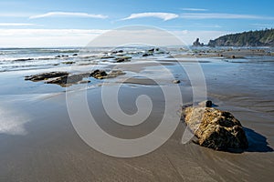 Shi Shi Beach and seashore in Olympic National Park, Washington.