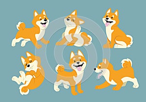 Shiba inu cartoon set