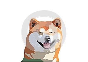 Shiba Inu Dog breed