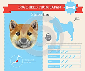 Shiba Inu Dog breed infographics.