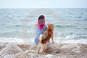 A Shiba Inu dog cozily nestles into a woman with striking pink hair