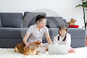 Shiba inu dog interest in little girl has fun with laptop and also sit near her mother at living room during stay at home to