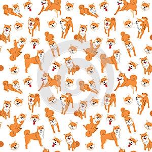 Shiba inu seamless pattern background