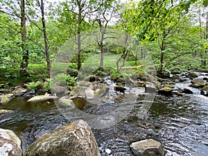 Shibden Beck, flowing through woodland in, Shibden, Halifax, UK