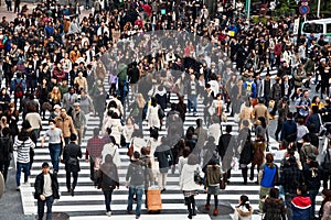 Shibuya Crossing