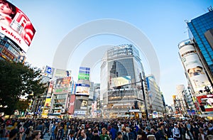 Shibuya crossing full of people, crosswalk cityscape, Pedestrians cross at Shibuya Crossing.