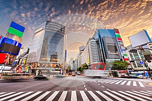 Shibuya Crossing, Tokyo, Japan photo